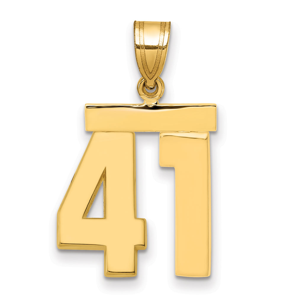 10K Yellow Gold Polished Medium Number 41 Charm