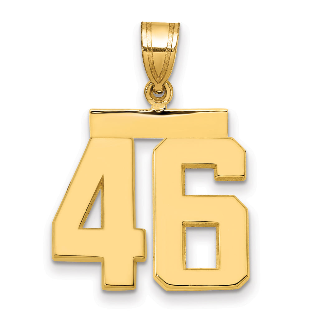 10K Yellow Gold Polished Medium Number 46 Charm