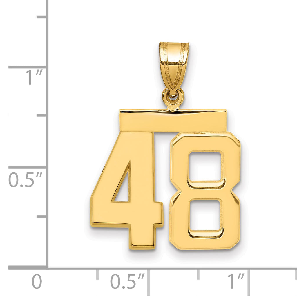 10K Yellow Gold Polished Medium Number 48 Charm