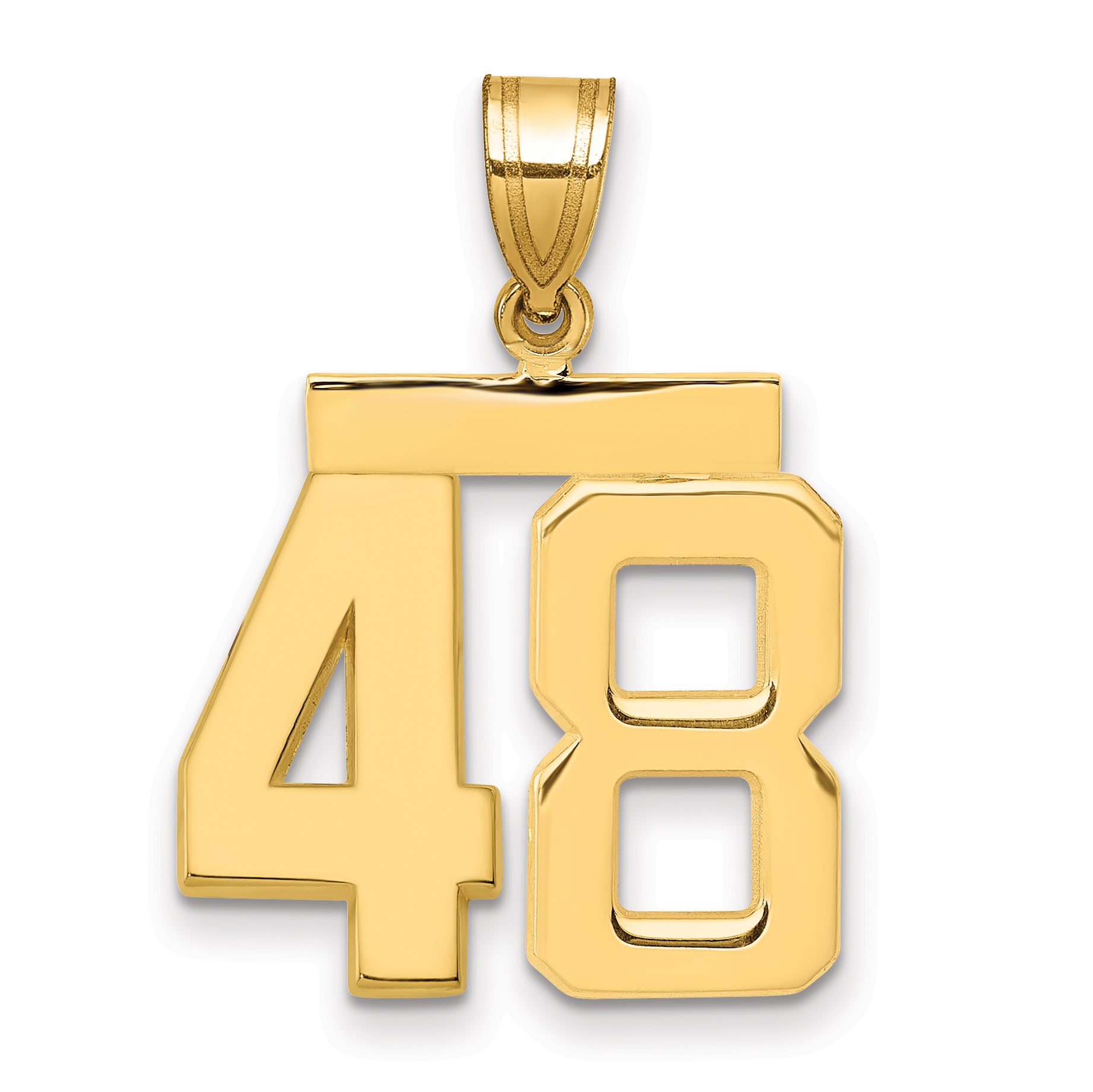 10K Yellow Gold Polished Medium Number 48 Charm