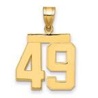 10K Yellow Gold Polished Medium Number 49 Charm