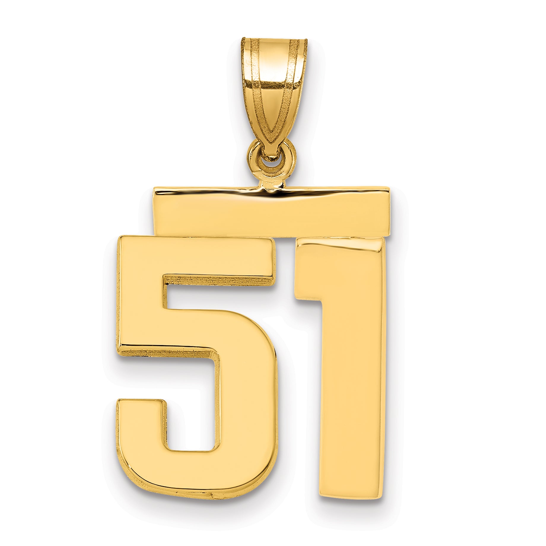 14k Medium Polished Number 51 Charm Main image
