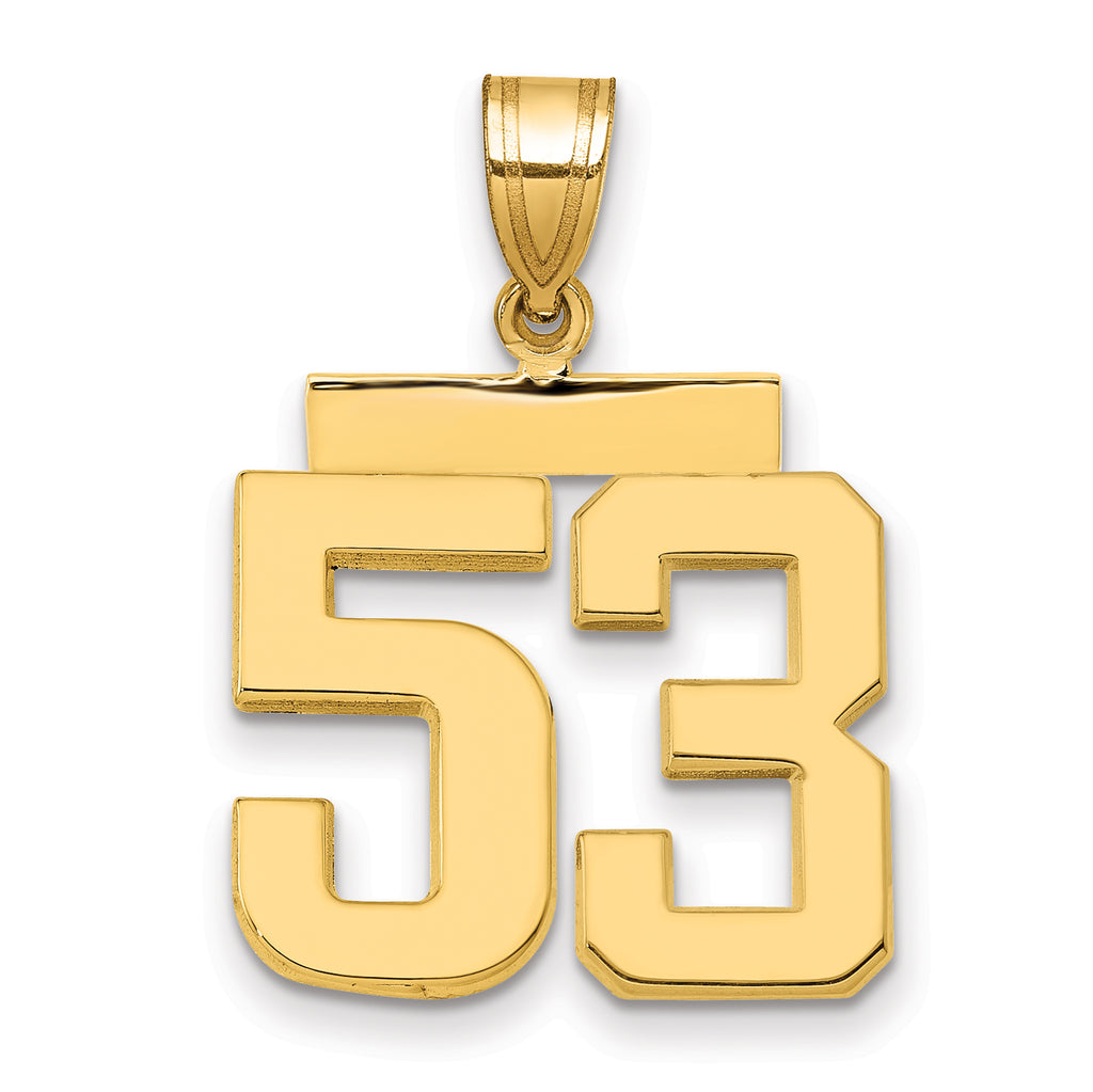 10K Yellow Gold Polished Medium Number 53 Charm