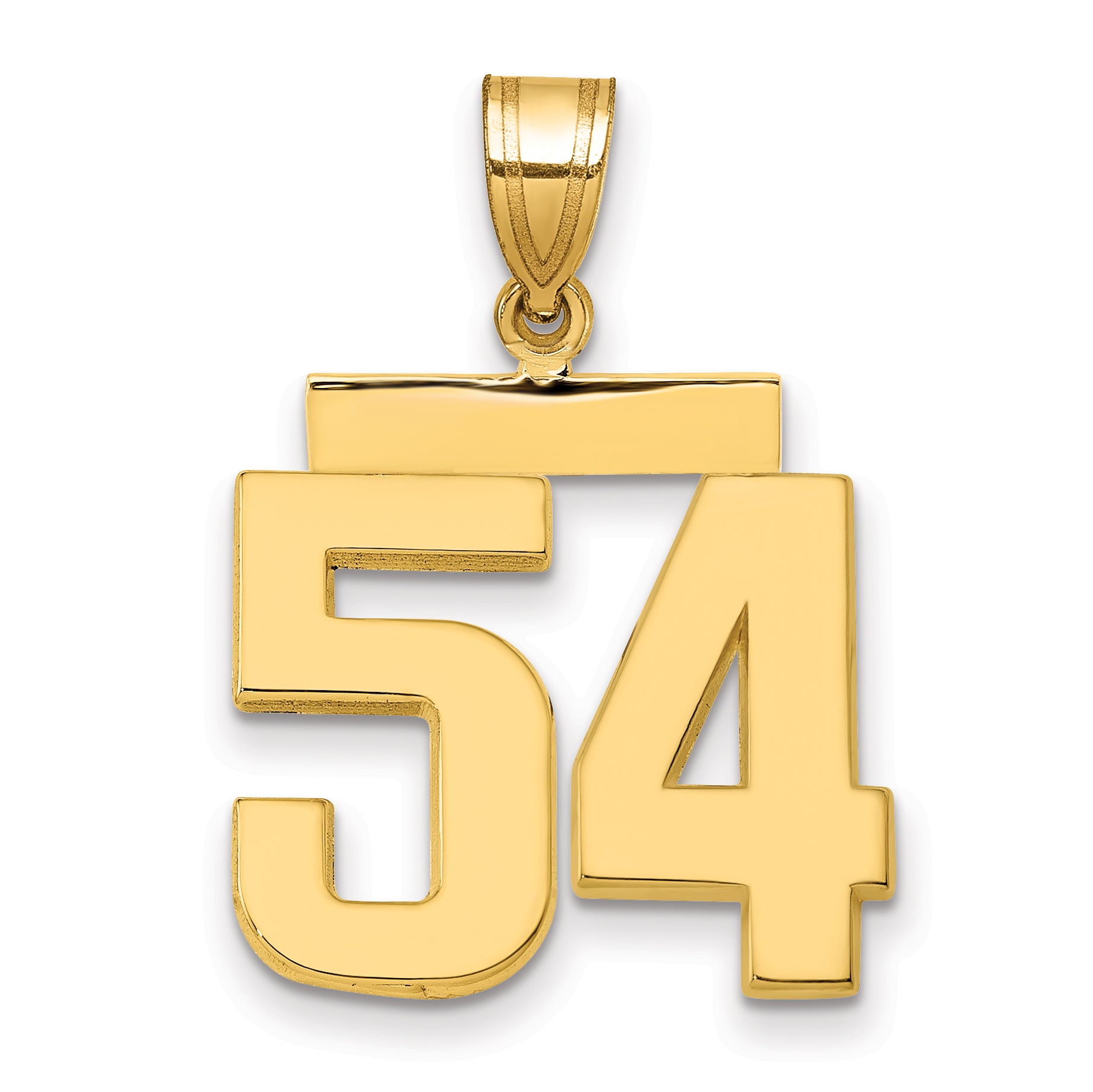 10K Yellow Gold Polished Medium Number 54 Charm