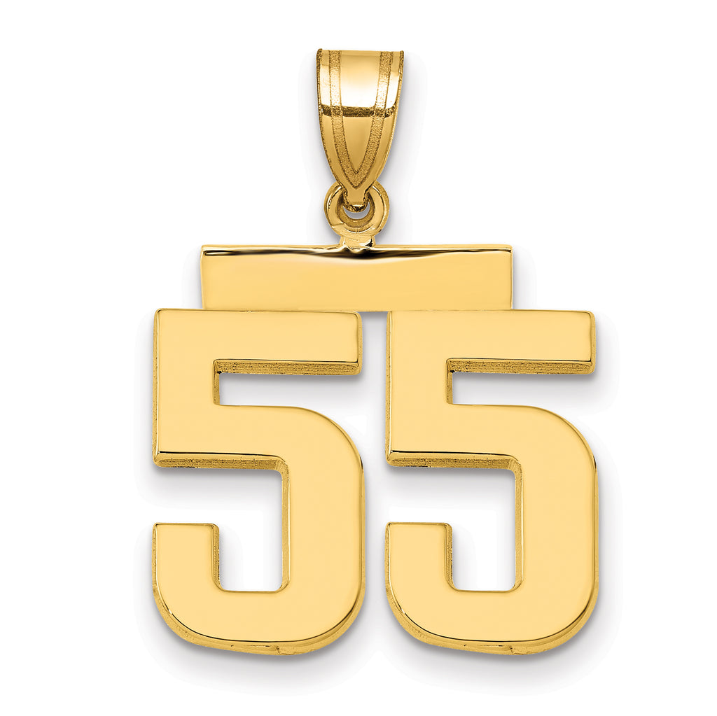 10K Yellow Gold Polished Medium Number 55 Charm