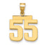 10K Yellow Gold Polished Medium Number 55 Charm