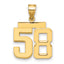 14k Medium Polished Number 58 Charm