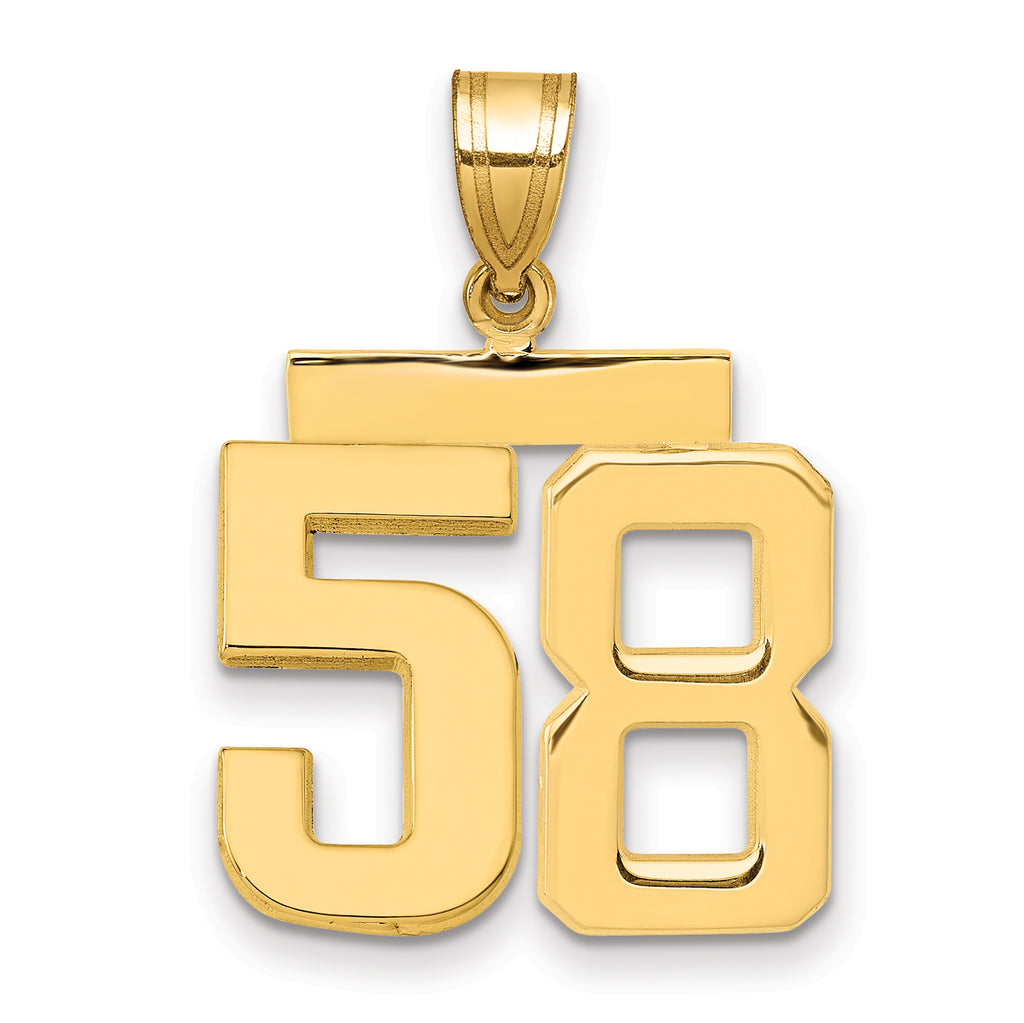10K Yellow Gold Polished Medium Number 58 Charm