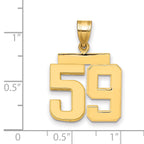 10K Yellow Gold Polished Medium Number 59 Charm