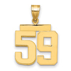 10K Yellow Gold Polished Medium Number 59 Charm