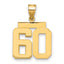 14k Medium Polished Number 60 Charm