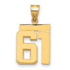 10K Yellow Gold Polished Medium Number 61 Charm