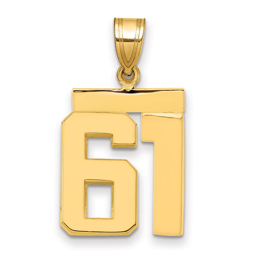 10K Yellow Gold Polished Medium Number 61 Charm