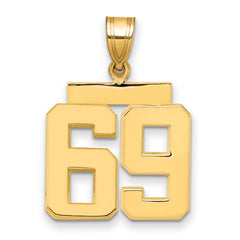 10k Medium Polished Number 69 Charm