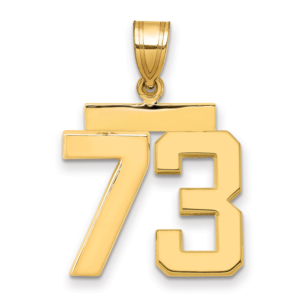 10K Yellow Gold Polished Medium Number 73 Charm