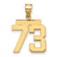 10K Yellow Gold Polished Medium Number 73 Charm