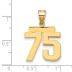 10K Yellow Gold Polished Medium Number 75 Charm