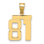 10K Yellow Gold Polished Medium Number 81 Charm