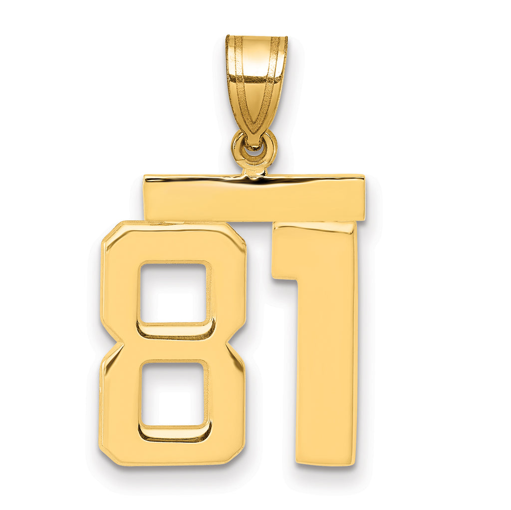 10K Yellow Gold Polished Medium Number 81 Charm