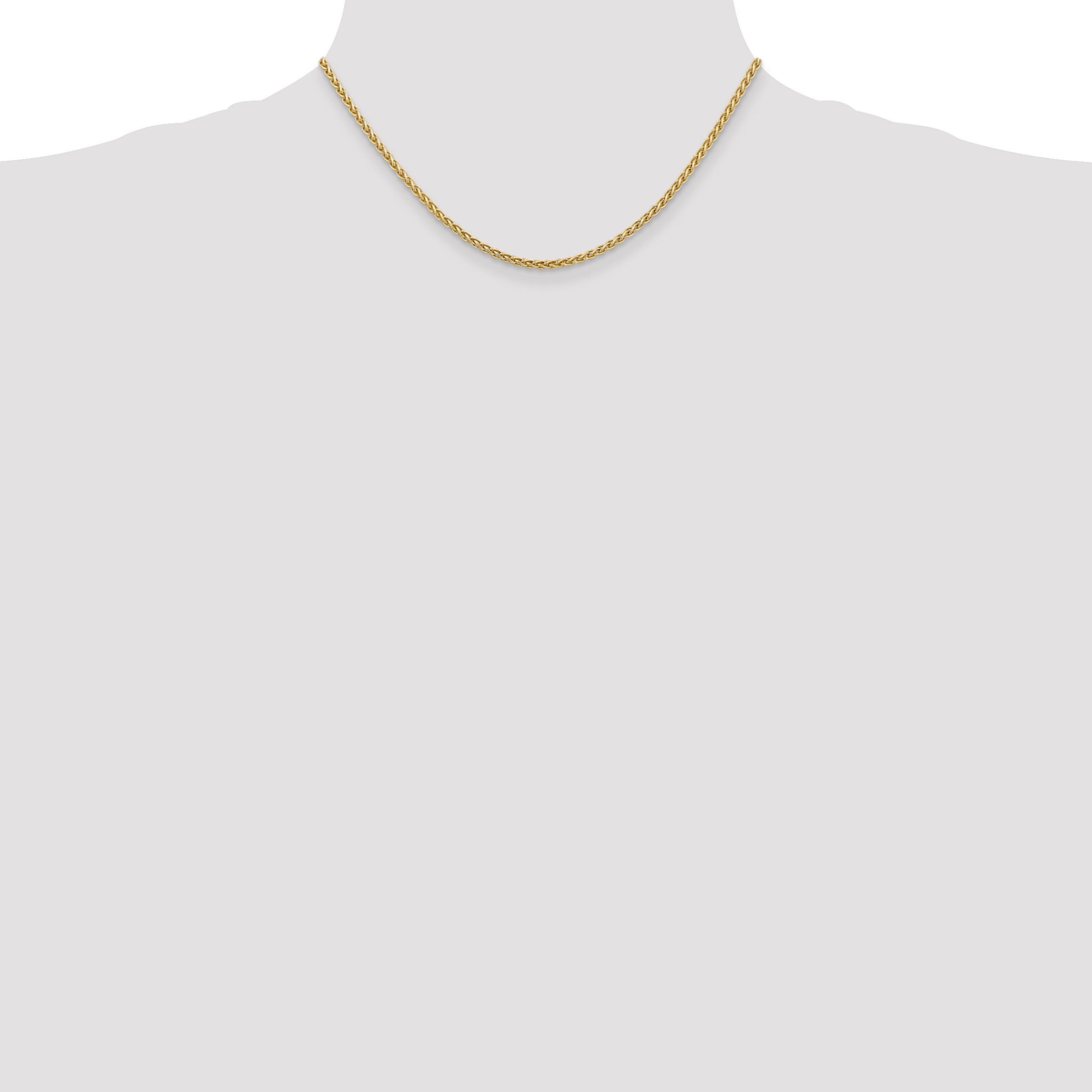 14K 2.5mm Spiga with Lobster Clasp Chain