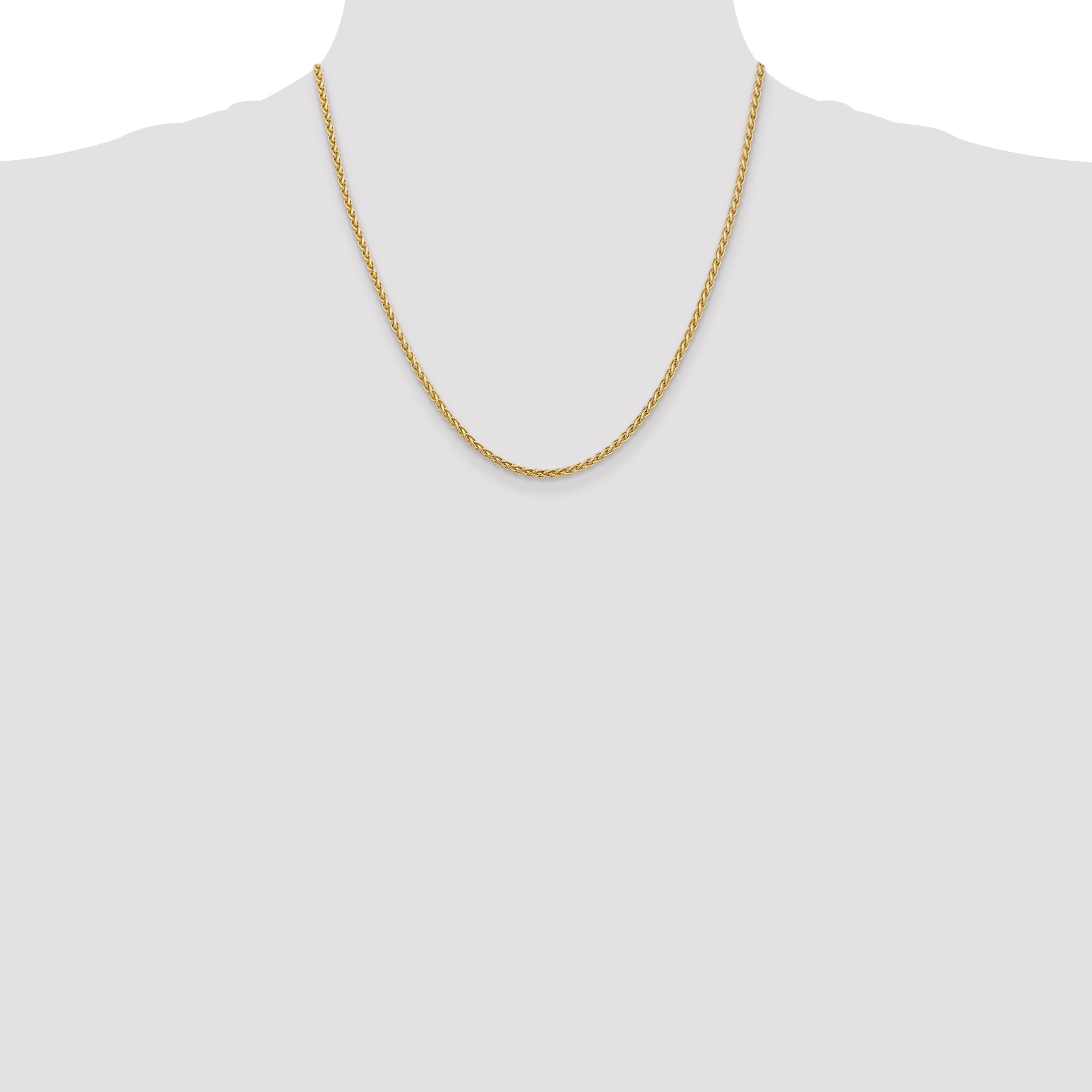 14K 2.5mm Spiga with Lobster Clasp Chain