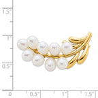 14k Polished Cluster 5-6mm White Rice Freshwater Cultured Pearl Pin Brooch
