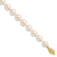 14k 7-8mm White Round Akoya Saltwater Cultured Pearl Necklace