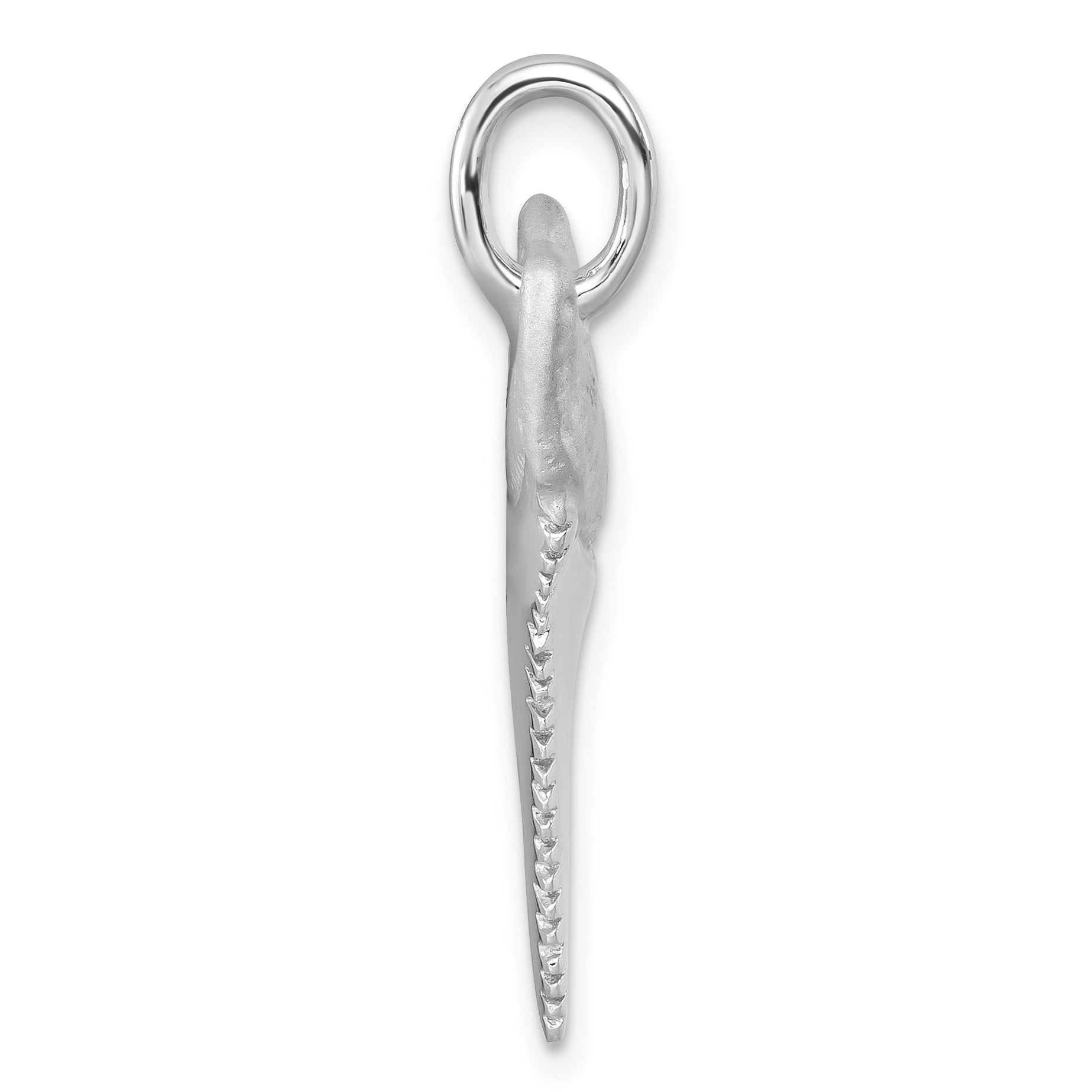 Sterling Silver Rhodium-Plated Brushed and Polished Great White Shark Tooth Pendant Secondary image