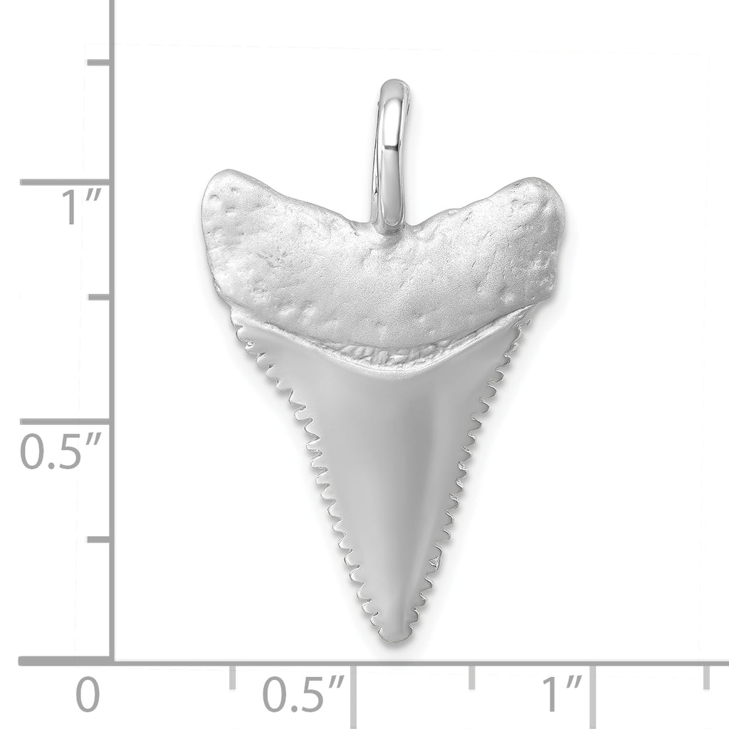 Sterling Silver Rhodium-Plated Brushed and Polished Great White Shark Tooth Pendant