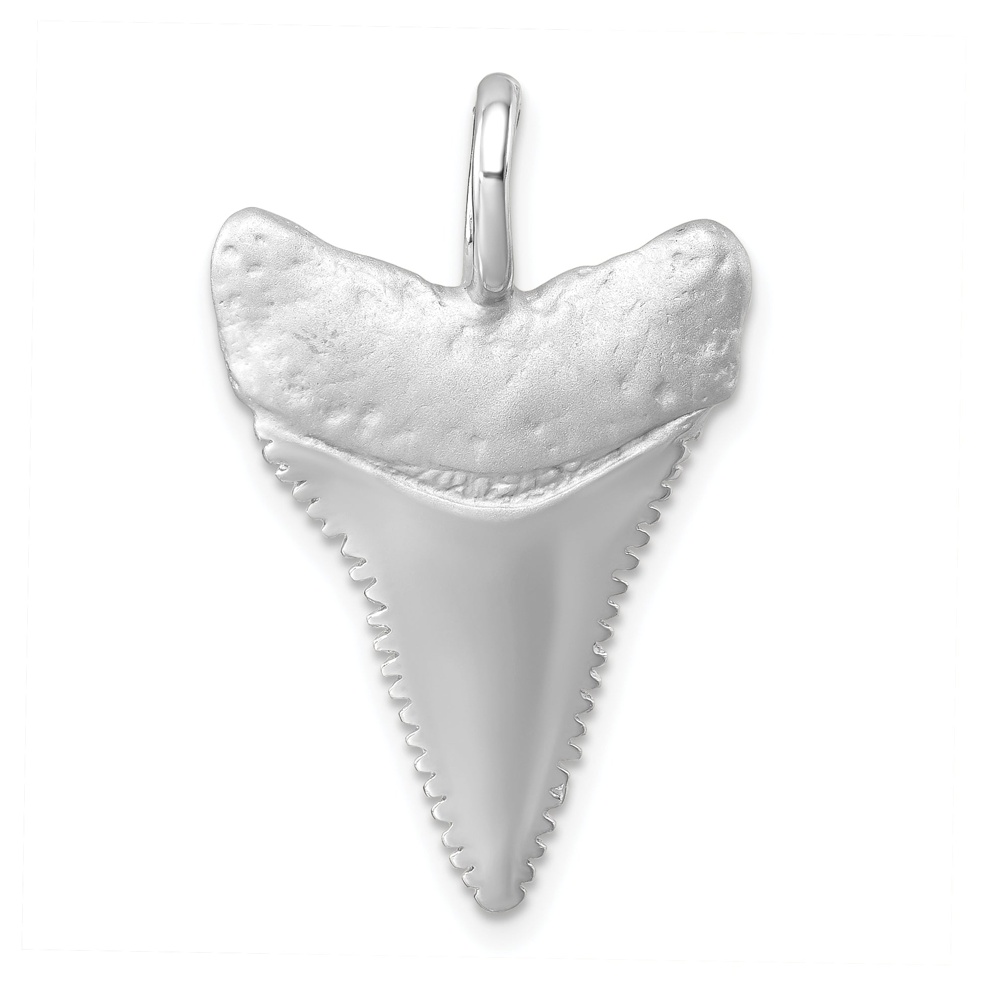 Sterling Silver Rhodium-Plated Brushed and Polished Great White Shark Tooth Pendant Main image