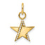 14K Polished Diamond Star Charm
