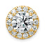 14k 3 carat Lab Grown Diamond VS+ F+ Round Complete Halo Chain Slide Pendant