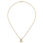 14k 1/2 carat Lab Grown Diamond VS+ F+ Complete Letter A 18 inch Initial Necklace