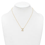 14k 3/8 carat Lab Grown Diamond VS+ F+ Complete Letter Z 18 inch Initial Necklace
