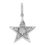 14k White Gold Polished Diamond Star Pendant