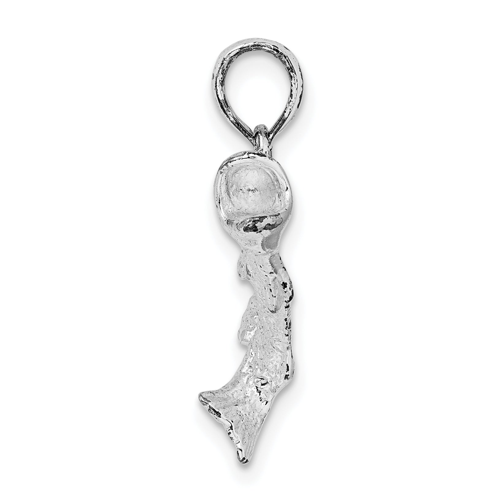 De-Ani Sterling Silver Rhodium-Plated Polished Bass Fish Curved Tail Pendant Secondary image