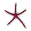 De-Ani Sterling Silver Rhodium-Plated Polished Enameled Dancing Starfish Slide
