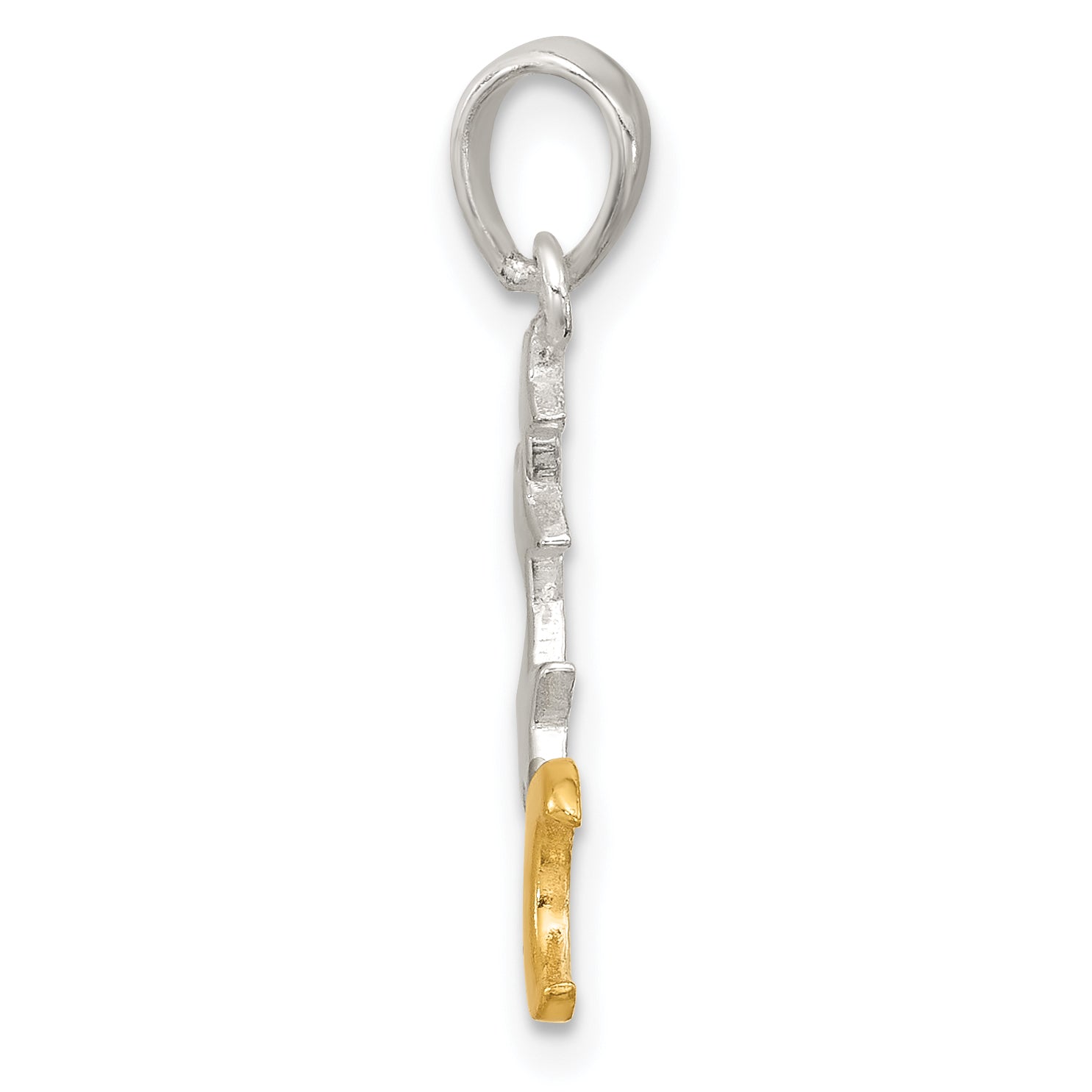 Sterling Silver E-Coat and Gold-tone Star and Moon Pendant Secondary image