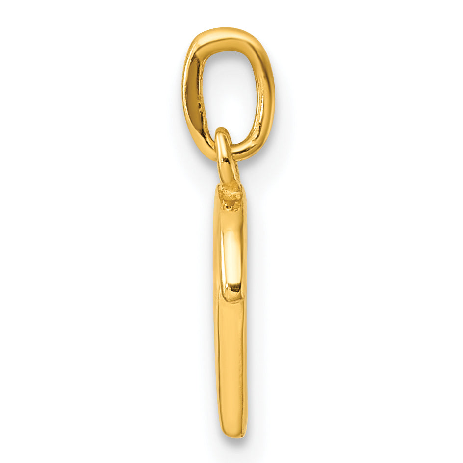 Sterling Silver Gold-tone Polished Letter D Initial Charm