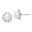 Sterling Silver Rhodium-plated 8-9mm White Button Freshwater Cultured Pearl and CZ Post Earrings