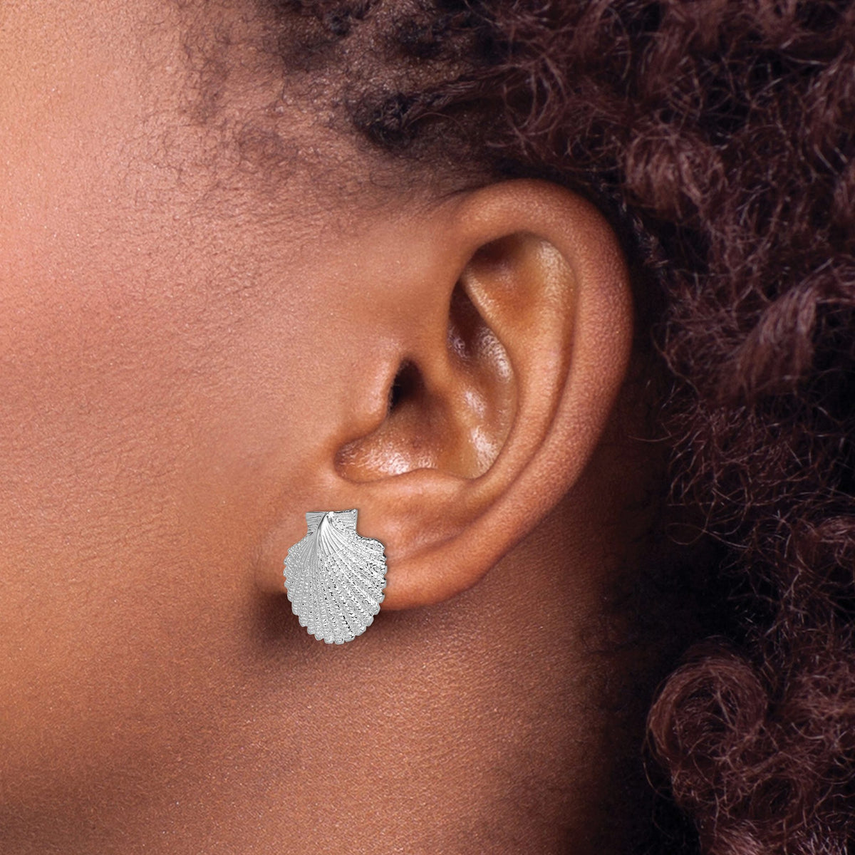 Large Scallop Shell Stud Earrings in Sterling Silver, 16mm - Sophia Jewelers