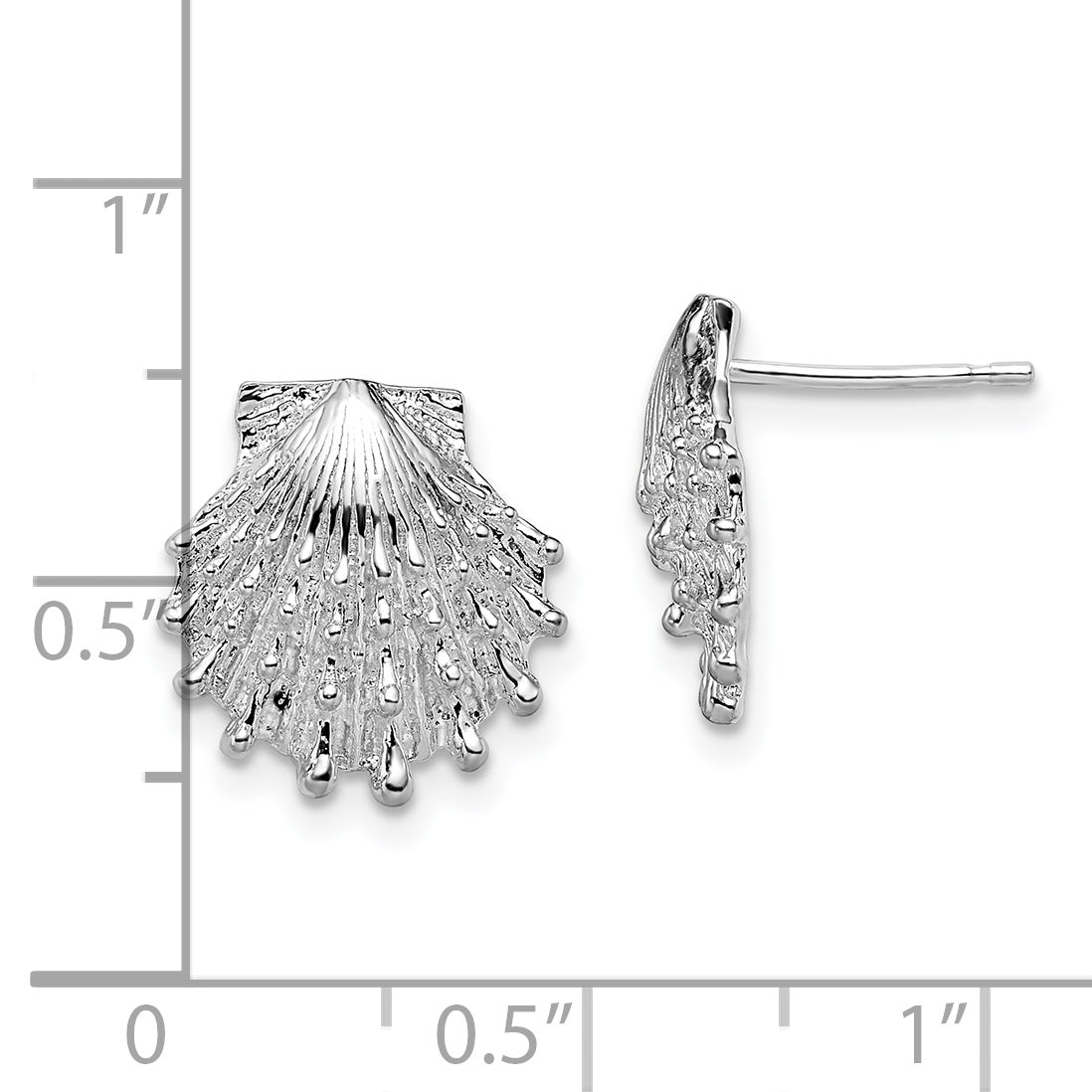 De-Ani Sterling Silver Rhodium-Plated Polished Lions Paw Shell Post Earrings