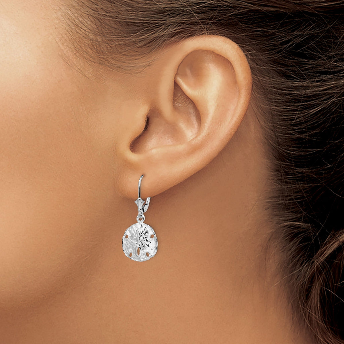 Sand Dollar Leverback Earrings in Sterling Silver, 15mm - Sophia Jewelers