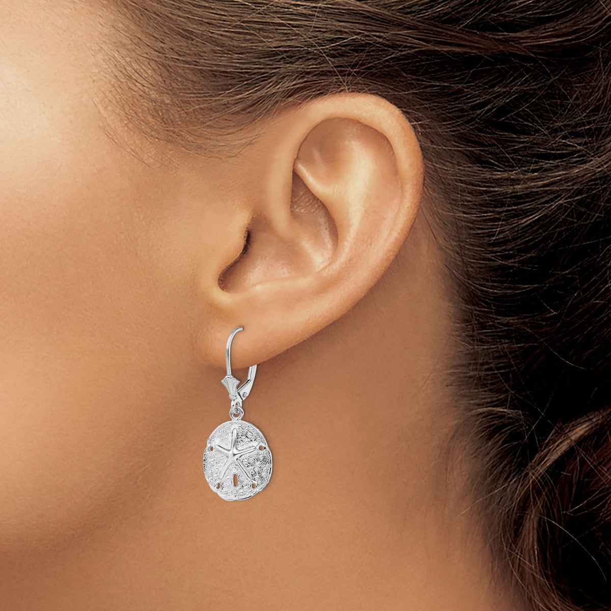 Sand Dollar Starfish Leverback Earrings in Sterling Silver, 14mm - Sophia Jewelers