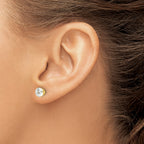 Sterling Silver Gold-Plated 6mm Cubic Zirconia Stud Earrings
