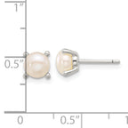 Sterling Silver E-Coating 6mm FWC Pearl Post Earrings