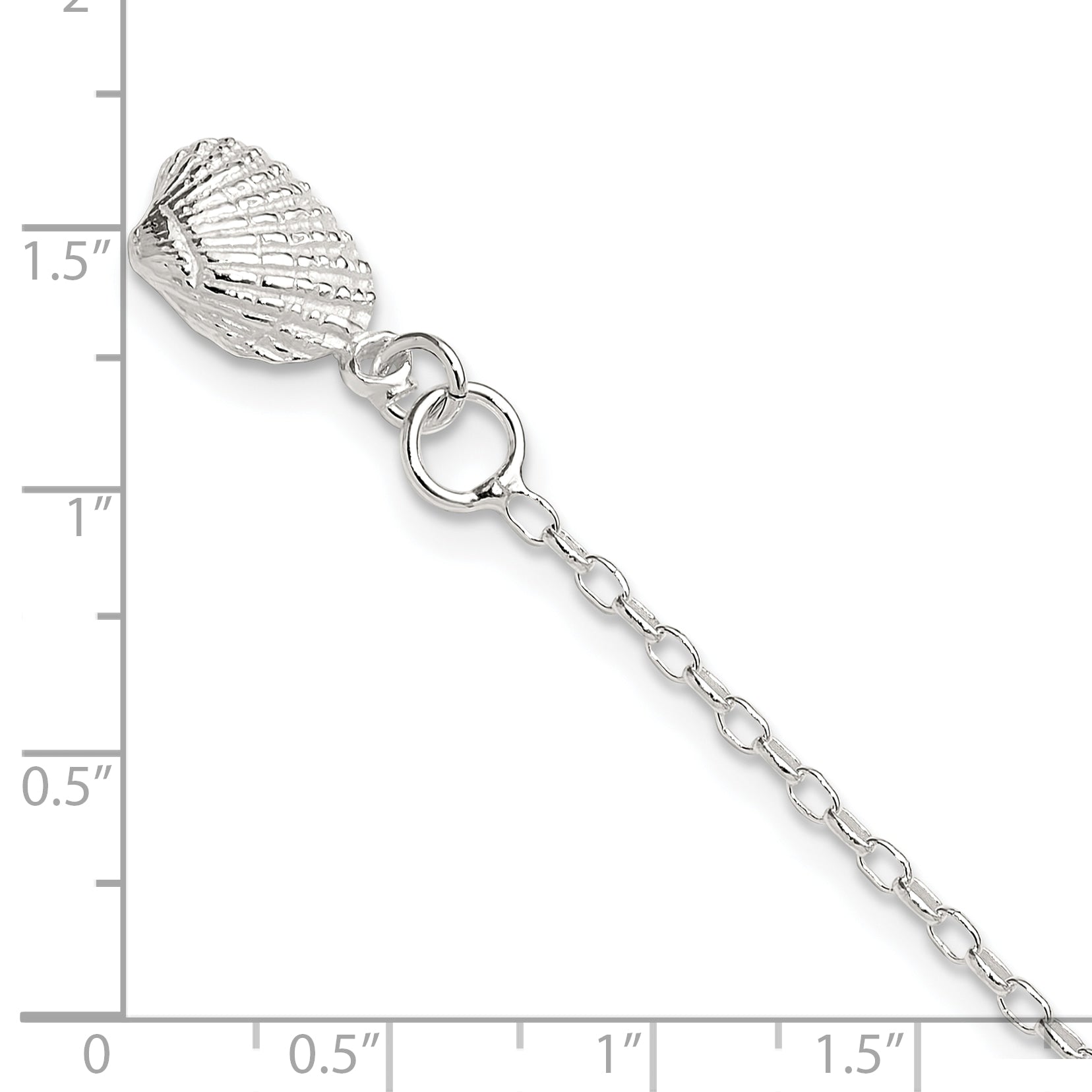 Sterling Silver 10inch Solid Polished 3-D Shell Anklet