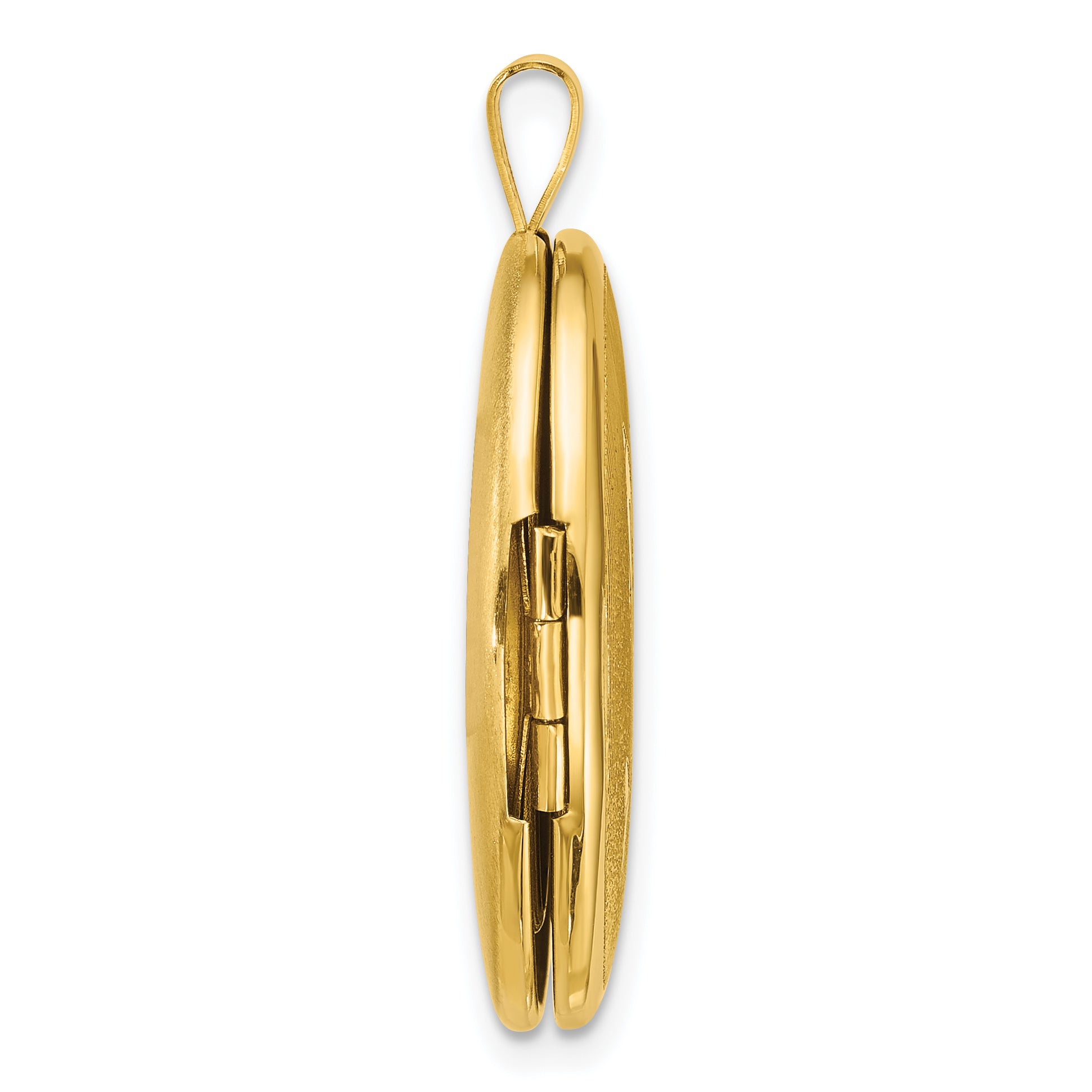 Sterling Silver Gold-plated Polished Front/Brushed Back Two Dolphins 20mm Oval Locket Secondary image