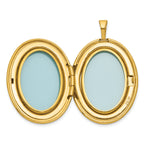 Sterling Silver Gold-plated Polished Front/Brushed Back Two Dolphins 20mm Oval Locket