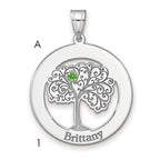 Sterling Silver/Rhodium-plated 1 Birthstone with SS Bezel Family Pendant